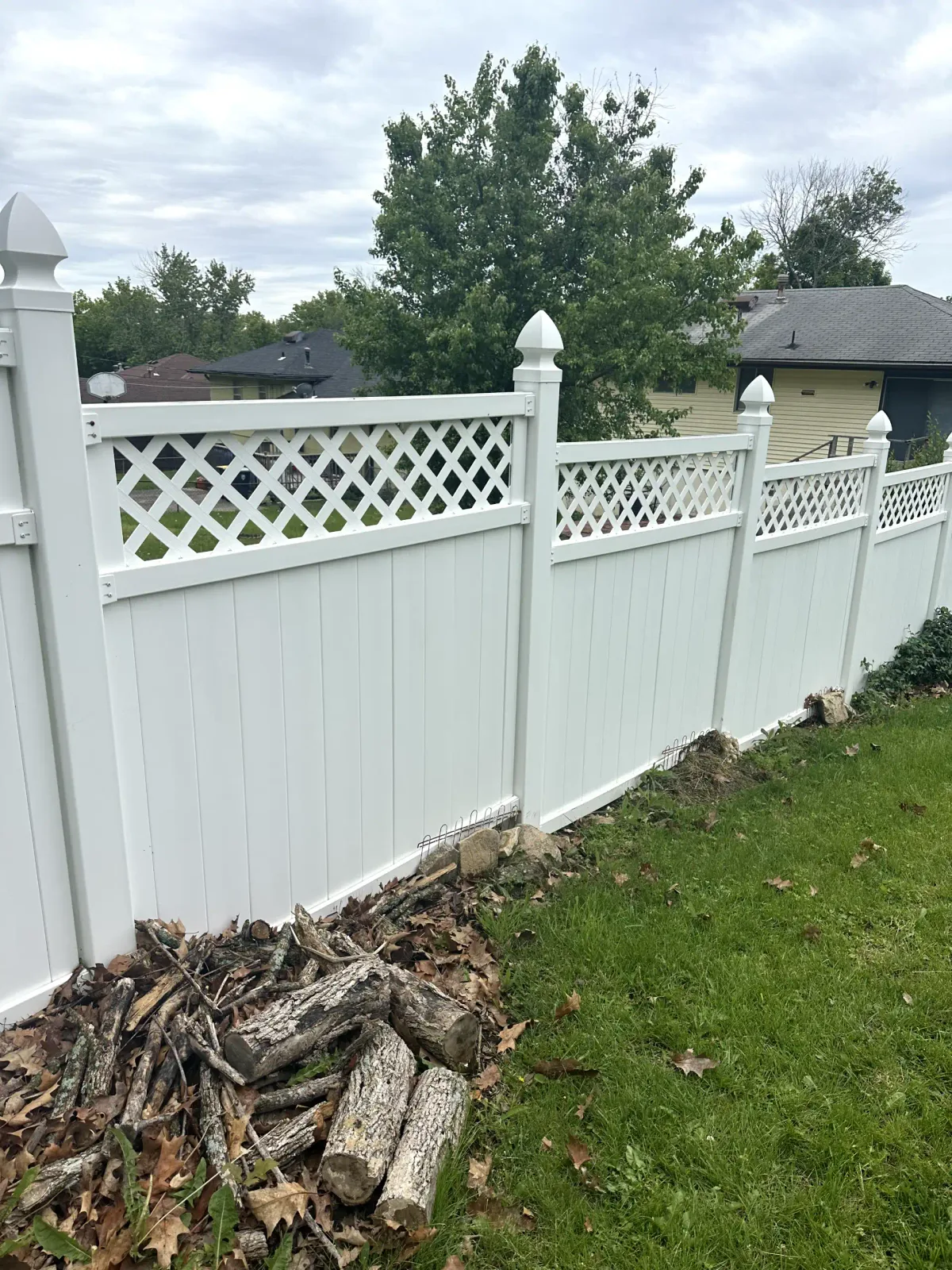 Removal of dirt, algae, mold, and mildew